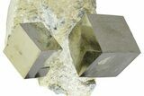 Two Natural Pyrite Cubes In Rock - Navajun, Spain #361861-1
